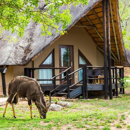 Aha Bongani Mountain Lodge Luphisi Kültér fotó