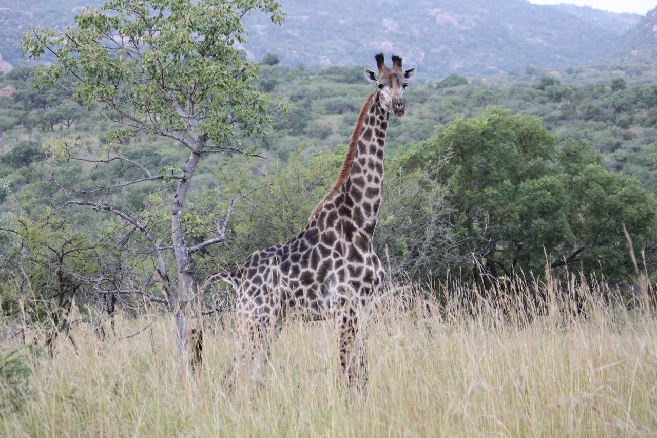 Aha Bongani Mountain Lodge Luphisi Kültér fotó