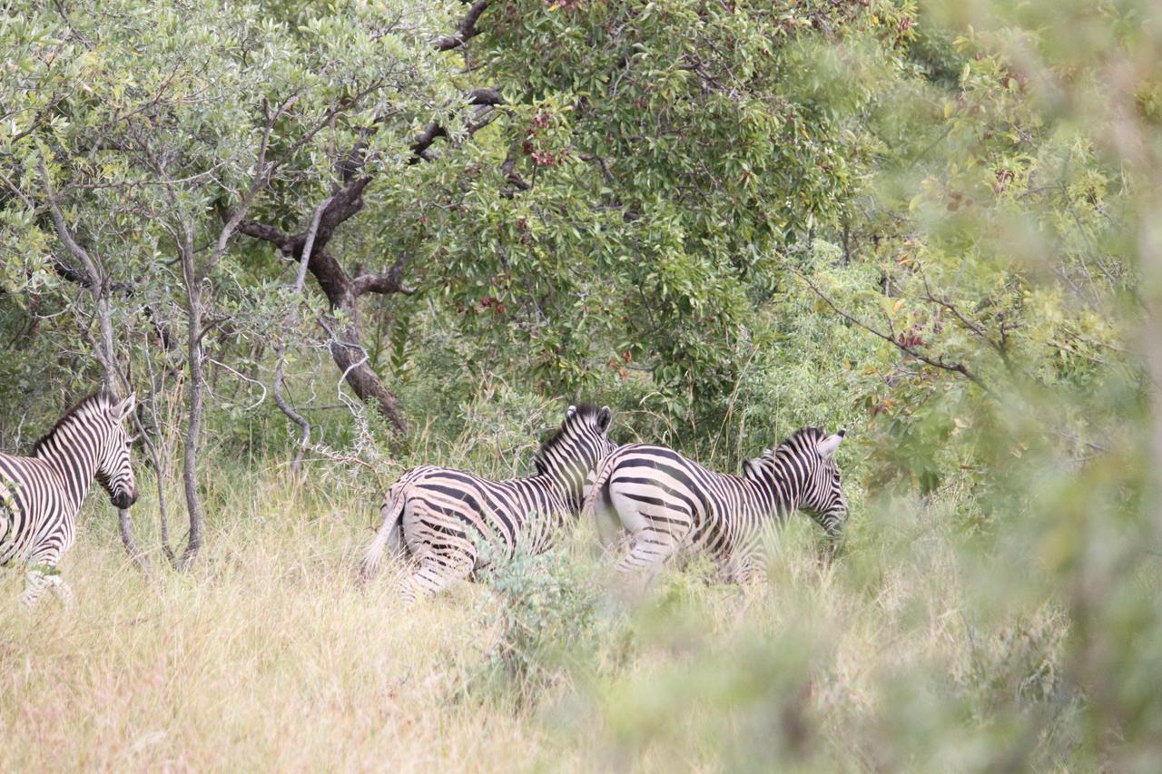 Aha Bongani Mountain Lodge Luphisi Kültér fotó