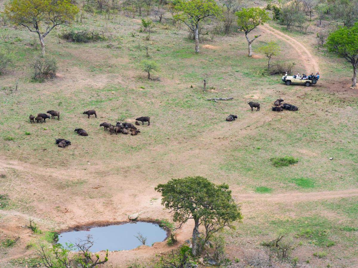 Aha Bongani Mountain Lodge Luphisi Kültér fotó